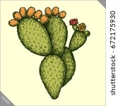 Engrave Isolated Prickly Pear...
