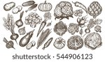 big set of vegetables hand... | Shutterstock .eps vector #544906123