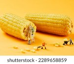 Small photo of Corn, creative photography, pictures of Lilliputian dolls and corn
