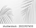 Light and shadow leaves,palm leaf on grunge white wall concrete background.Silhouette abstract tropical leaf natural pattern for wallpaper,spring ,summer texture.Black and white blurred image backdrop