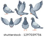 Colorful Icon Set Of Pigeon...