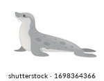 Cute Seal Cartoon Animal Design ...