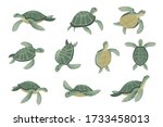Set Of Big Green Sea Turtle...