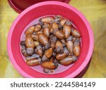 Small photo of Fresh sea squirt on plate