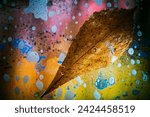 Autumn leaf on glass   drops...