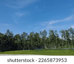 Small photo of Sky natural beatify Cloud trees