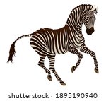 galloping plains zebra pricked... | Shutterstock .eps vector #1895190940