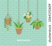 House Plants In Hanging Flower...