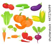 set of vegetables. organic... | Shutterstock .eps vector #447276499