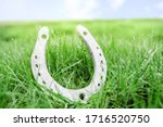 the silver horseshoe lies in the green grass