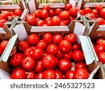 Red ripe tomatoes in cardboard...