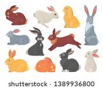 Vector Set Of Cute Rabbits In...