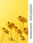 Small photo of Floral autumn still life with flowers on yellow background, Autumnal flowery pattern, beautiful shadow from sunlight. Scenery beauty Nature design, minimal style aesthetic flat lay, yellow monochrome