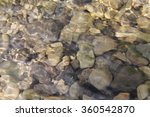 Rocky Bottom Underwater Texture