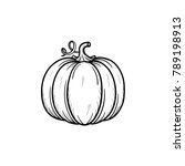 Vector Hand Drawn Pumpkin...