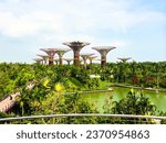 Small photo of Super tree at Marina Bay is one of the tourist attractions in Singapore