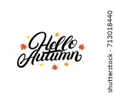 hello autumn hand written... | Shutterstock . vector #713018440