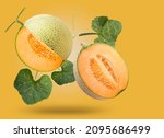 Sweet melon or cantaloupe with leaves falling in the air isolated on  yellow background, Japanese Hokkaido melon on yellow background With clipping path.