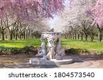 Sundial and Beautiful Pink Cherry Blossoms with Trees in Full Bloom and No People in Fairmount Park, Philadelphia, Pennsylvania, USA