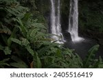Small photo of Tad ngeuang waterfall with tropical and green