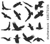 Set Of Silhouettes Of Flying...