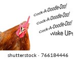 Small photo of Cock peeping out of the corner and shouting cock-a-doodle-doo! Rooster head isolated on a white background with copy space.