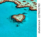 Heart shape coral reef scenery, free public domain CC0 photo.