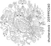 Cute Bird Owl In Forest. Doodle ...