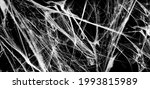 spiderwebs isolated on black... | Shutterstock .eps vector #1993815989
