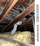 Small photo of Mold damage from an improperly vented bathroom exhaust fan. Extensive remediation was needed to remove the mold. The vent was reinstalled correctly to the outside.