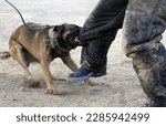 Small photo of A biting dog from Custer Battles K-9 unit tackles a man in a protective suit during a training session at Baghdad International Airport (IAP), Iraq, during Operation IRAQI FREEDOM.