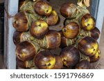 Small photo of Toddy Palm fruit for products or dessert food in Thailand. Asian palmyra palm ,sugar palm toddy palm.