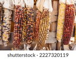 Colorful Fall Indian Corn...
