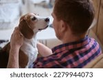 Small photo of calming effect of hugging a beloved Beagle. Strategies for stress relief, adopting shelter dogs, the emotional intelligence of dogs.