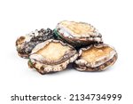 Small photo of Raw abalones on the white background