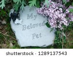 My Beloved Pet Memorial With...