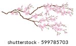 horizontal branch of cherry... | Shutterstock .eps vector #599785703