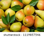 Fresh pears with leaves as...