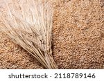 Barley grains as background ...