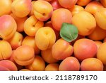 fresh ripe apricots as background, top view