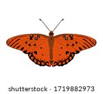 Butterfly Agraulis Vanillae....
