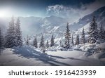 Incredible winter landscape with snowcapped pine trees under bright sunny light in frosty morning. Amazing nature scenery in winter mountain valley. Awesome natural Background. Soft light effect