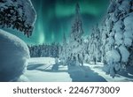 Small photo of Amazing winter landscape. Winter scenery with snow capped pine trees and aurora borealis (northern lights). Night nature landscape with polar lights. Creative image. Natural background