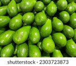 A pile of fresh jumbo avocados