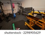 Small photo of Home garage gym: squat rack, dumbbell rack, hip thrust and vertical knee raise and triceps dips machines