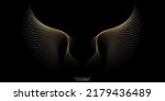abstract symmetry bird wings...