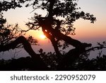 Sunset, taken at Mahabaleshwar, Pune, Maharashtra from Sony camera RX10M4