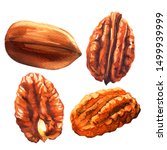 Tasty Pecan Nut  Whole Nuts In...