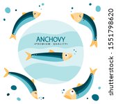 anchovy fish vector... | Shutterstock .eps vector #1551798620