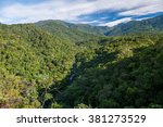 Atlantic Rainforest View From...